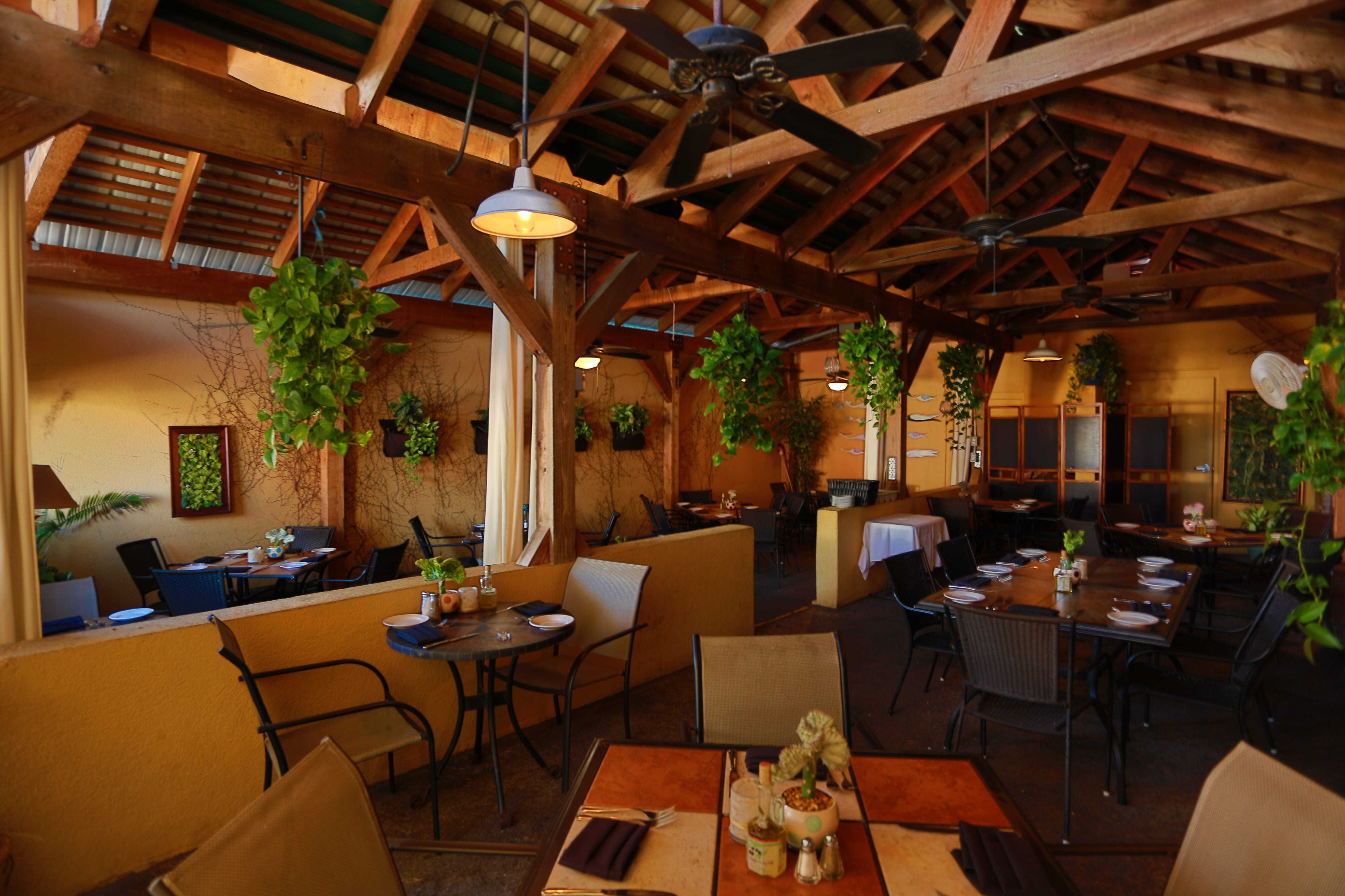 July 24th Nightly Specials