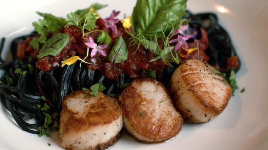 March 10th Nightly Specials